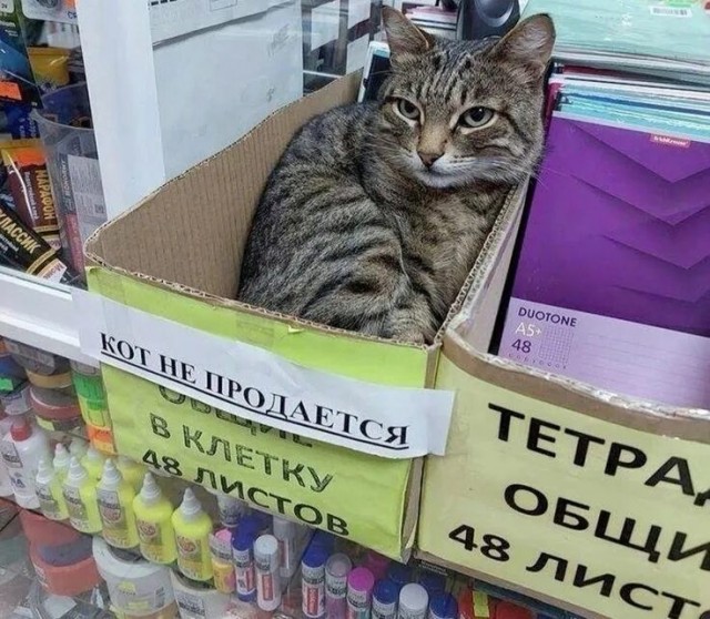 Рыбов продаёте?