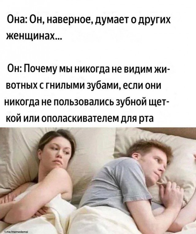 Так себе картинки 25.08.26