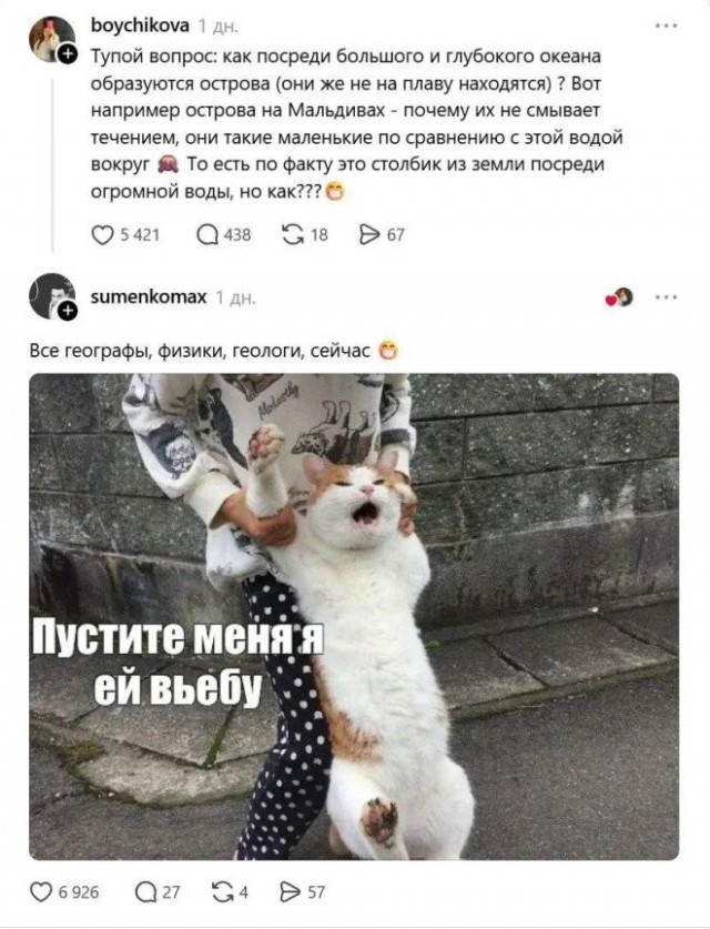 Картинки для деградации 270 (разной степени свежести)