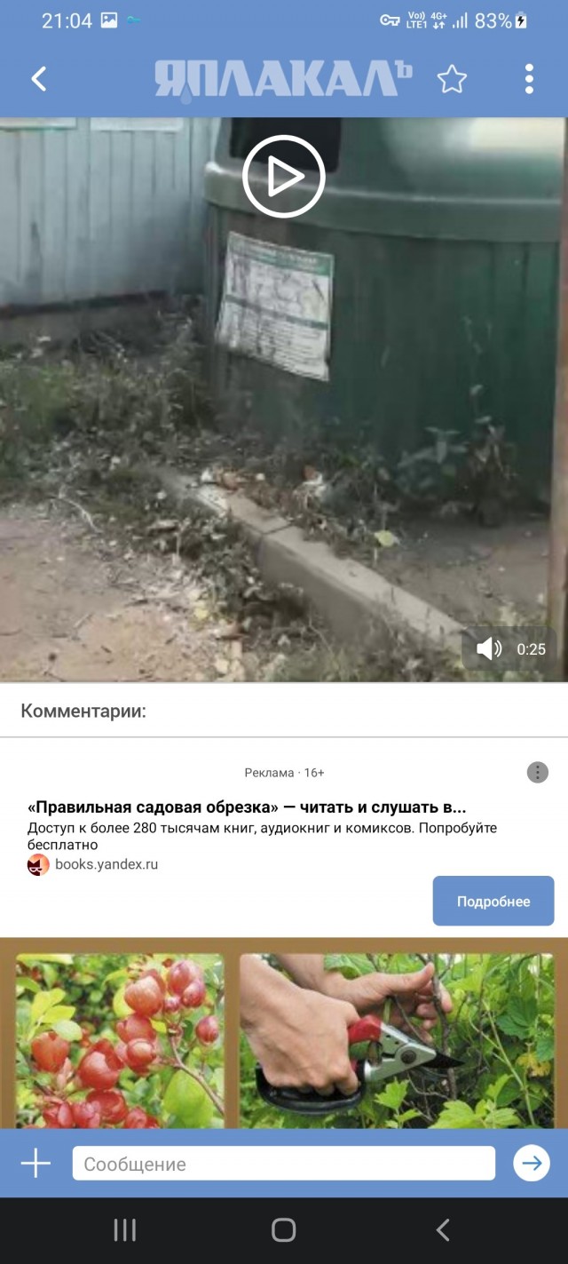 Огромные конопляные кусты растут прямо напротив наркодиспансера в Оренбургской области