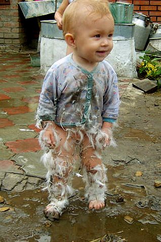 Чудо в перьях