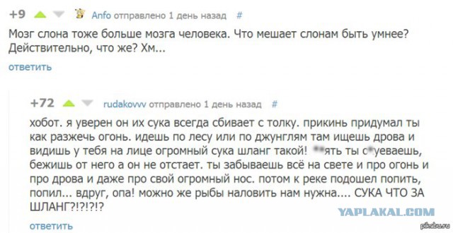 Смешные комментарии из социальных сетей