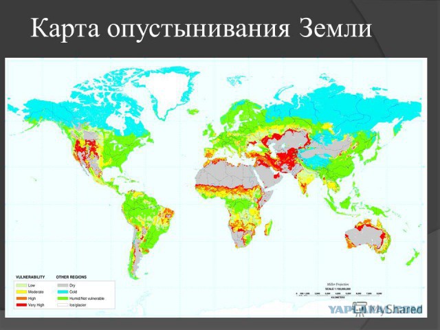 Карта почв земли