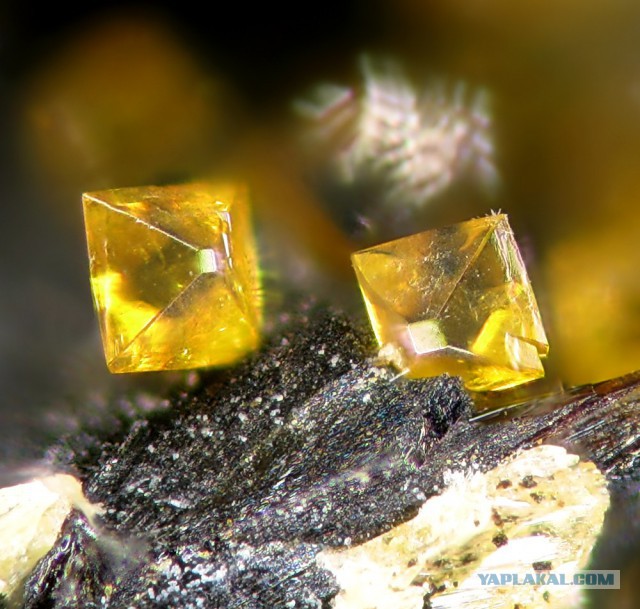 Удивительные минералы