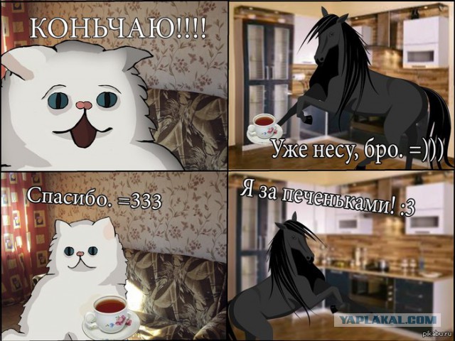 Смешные картинки, добавляйте свои!