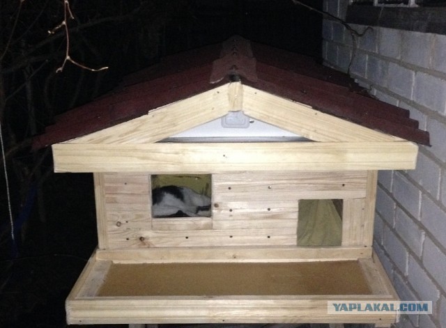 Зима, КотЭдж.