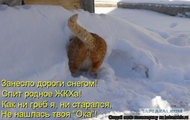Как выглядит конец света в Нью-Йорке