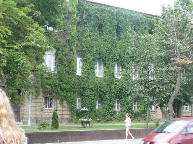 Несвижский замок