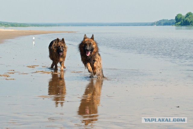 Игры настоящий пацанов