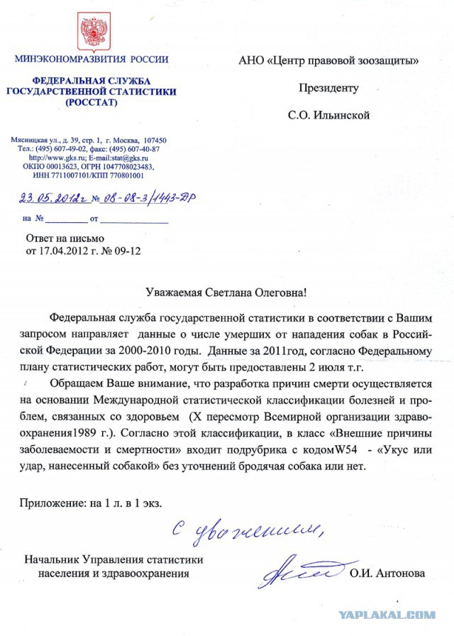 Как я воспользовался травматом