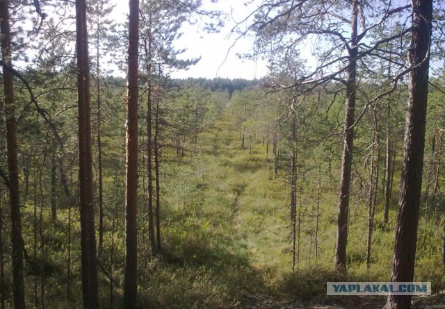 В дальнее замкадье и безасфальтье