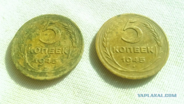 Дневник кладоискателя