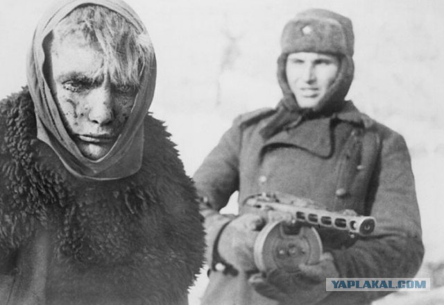 "Бедная Франция!"