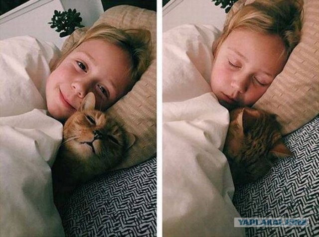Разное на субботу