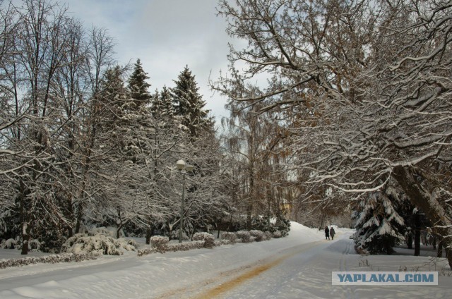 Немного моих фото, авторское