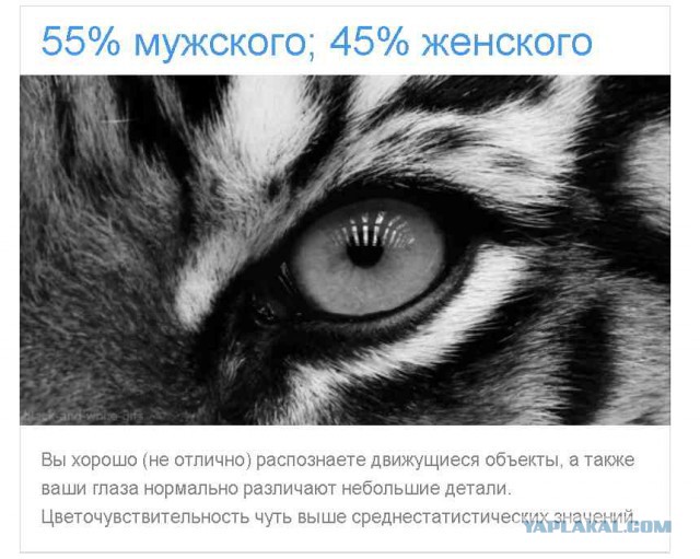 Тест: Вы воспринимаете этот мир глазами мужчины или женщины?