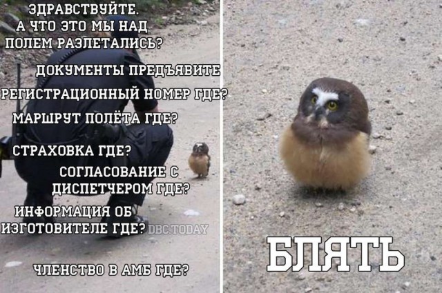 К дрону прикрепили бензопилу