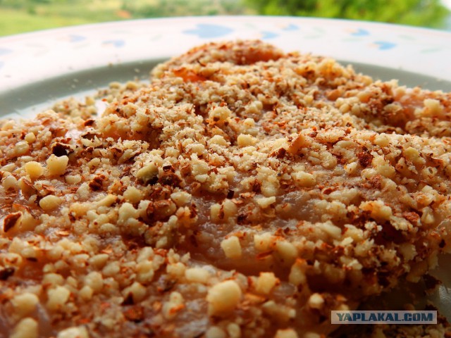 Мажорная грудка