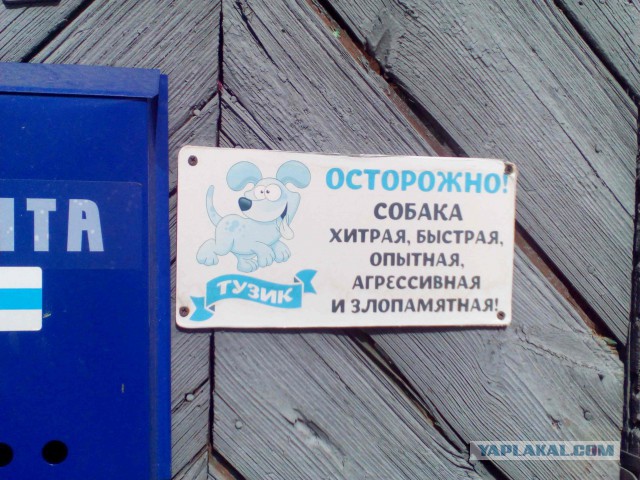 Подборка интересных и веселых картинок