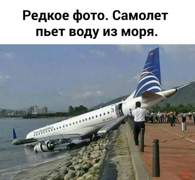 Порция картинок из сети