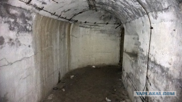 Каникулы во Владивостоке