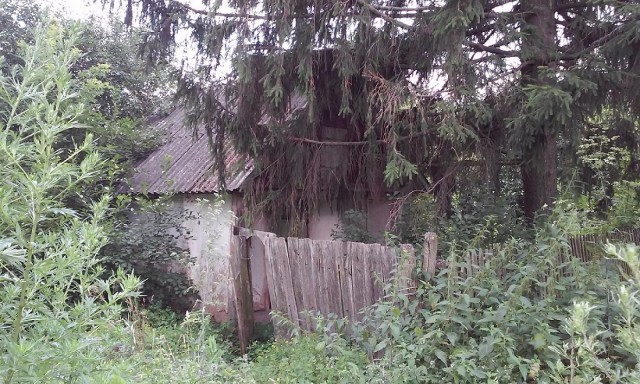 Россия - Родина суровых людей