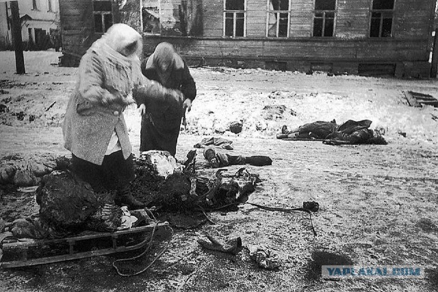 Подборка ретро-фотографий с описанием