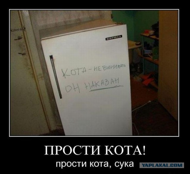 Деградировать подано, дамы и господа!
