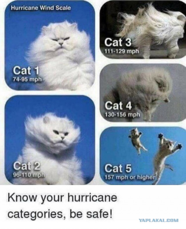 Ураган "Ирма" затапливает  Майами