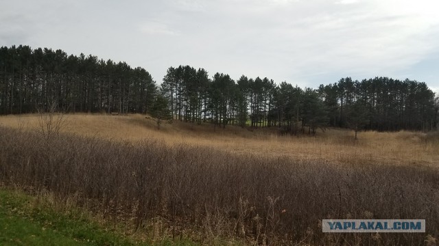 Просто Природа