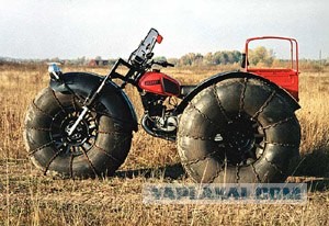 Каракаты (10 фото + видео)