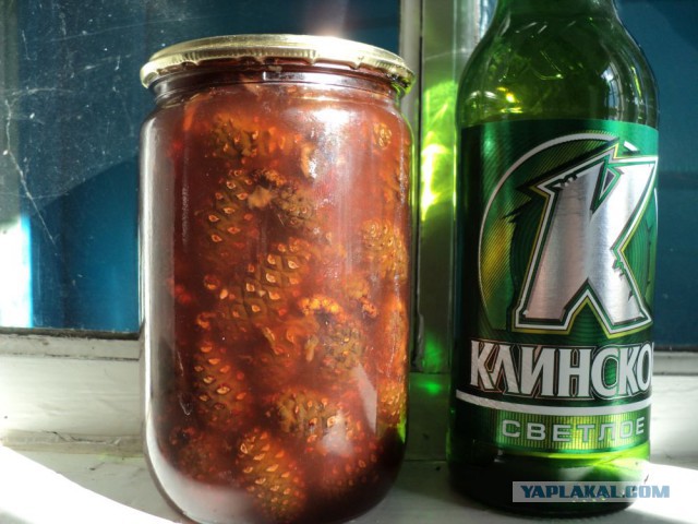 Командировка. В леса