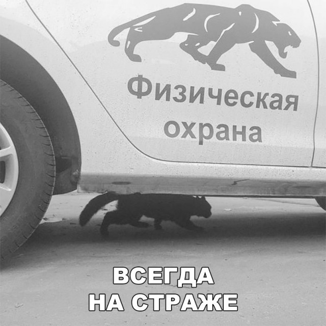 Нестандартный юмор