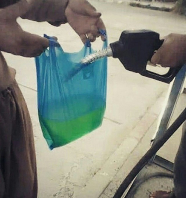 Выловлено в наших сетях