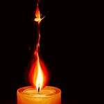 В возрасте 75 лет скончался  культовый нидерландский актёр Рутгер Хауэр