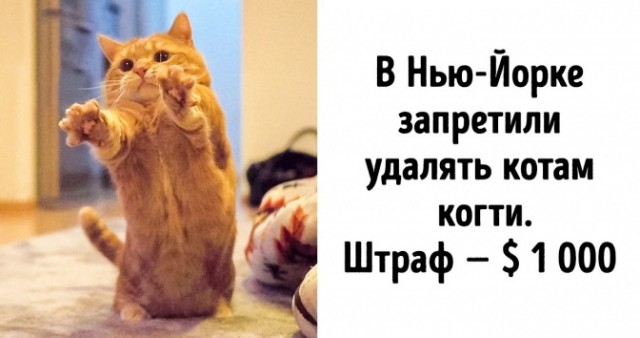 Картинки с надписями и анекдоты 09.08.19