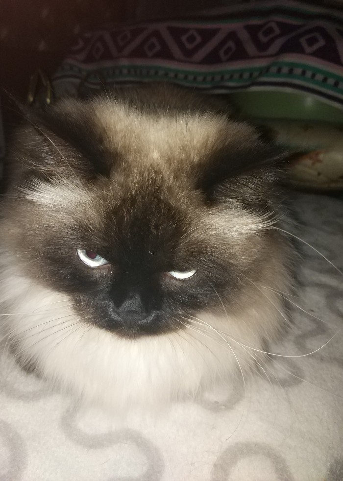 Скоро