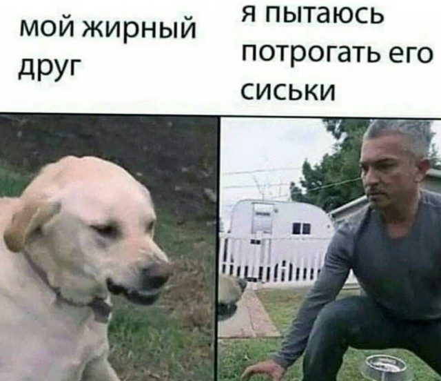 Бредзона 18.03.2020