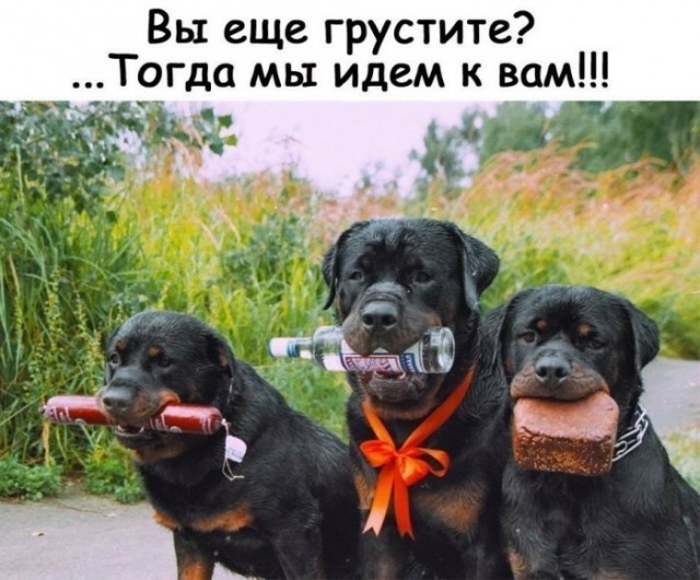Субботний алкопост