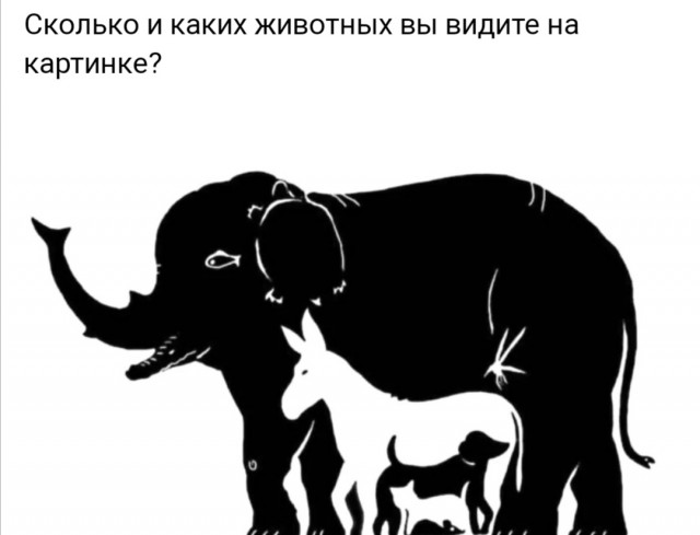 Юмор в картинках 7.10.20