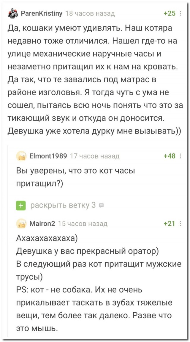 Бредзона 07.02.21
