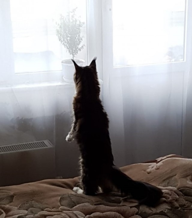 А чо это вы тут делаете, а?