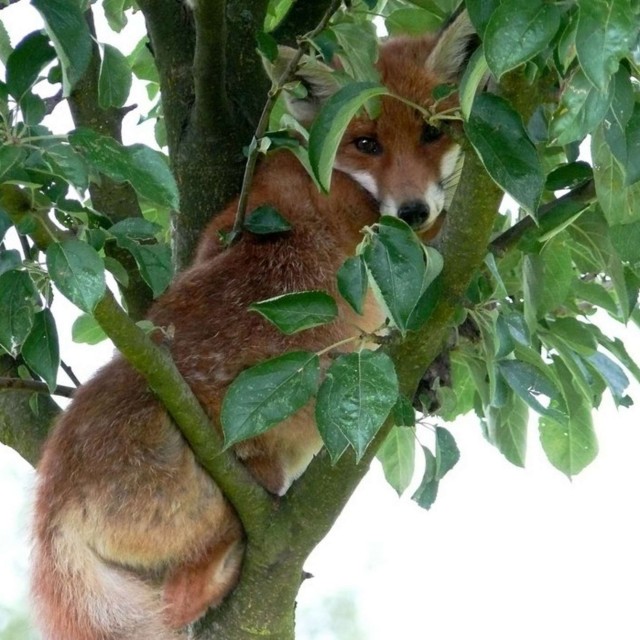 Добрые картинки 28.11.20