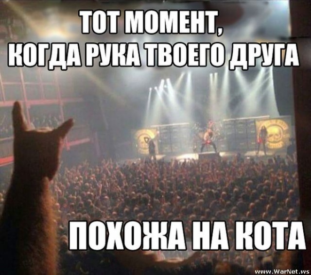 Опять показалось ...