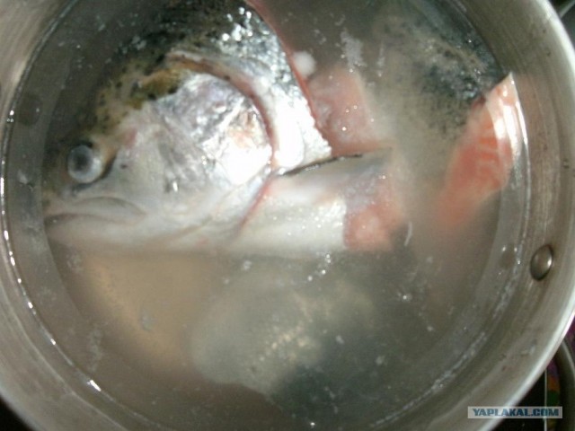 Пятничные посиделки на теплотрассе ©