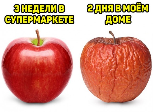 Весёлый полтишок 11.09