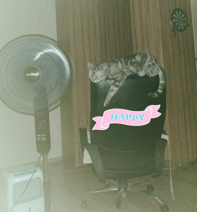 Котовторник 28.09.21