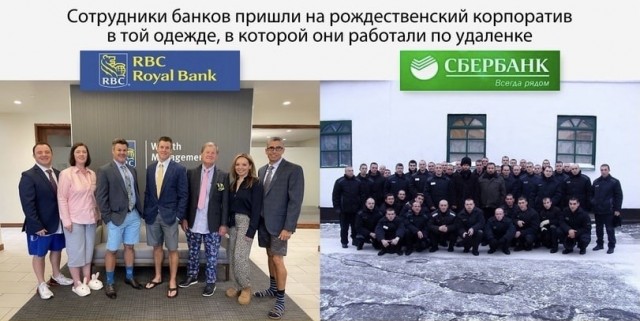 Человек собаке друг и другие картинки под настроение 13.01.2022