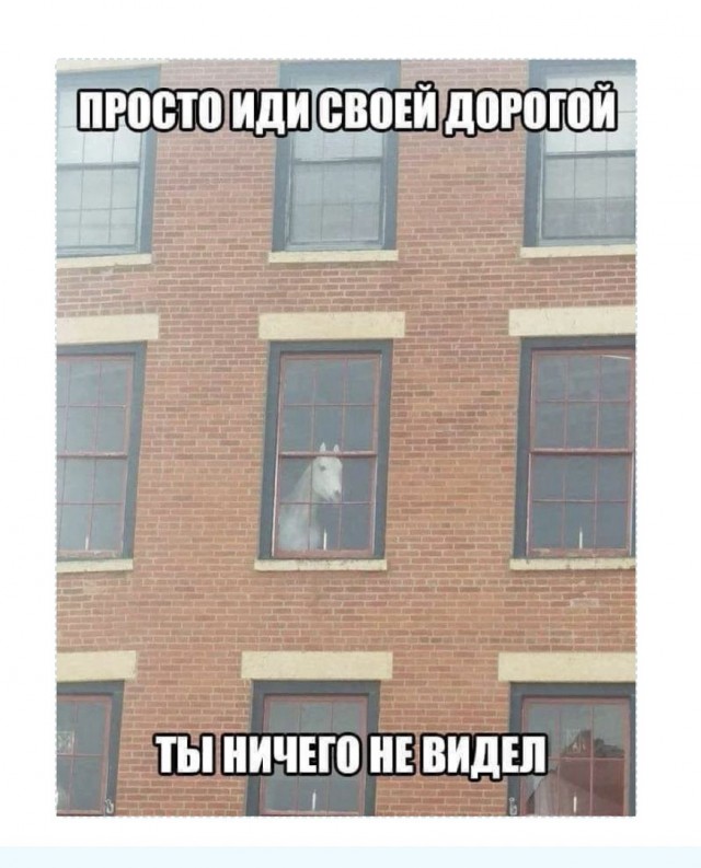 Так себе картинки 23.02.22