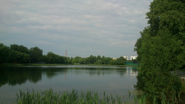 Доброе утро ЯП